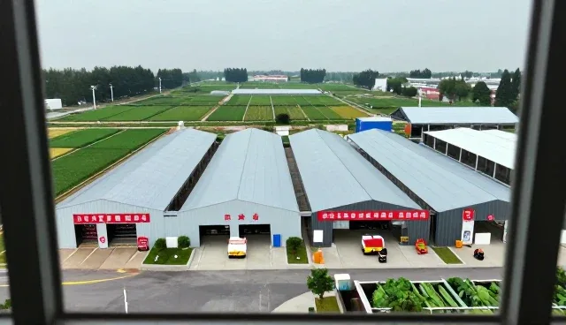 批发零售选品中的资源整合策略与常见问题应对